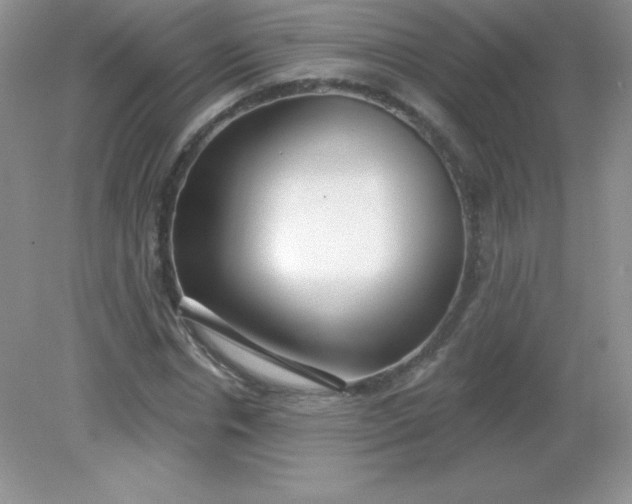 X0000082160826200702021658