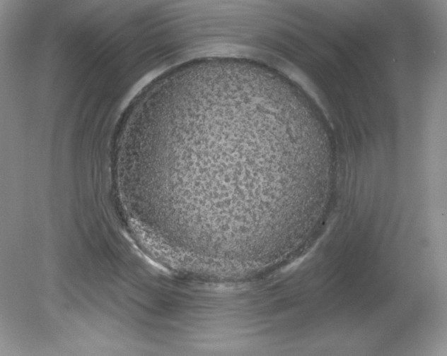 X0000082160829200702021658