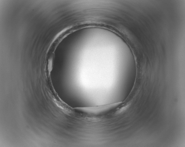 X0000082160830200702021658