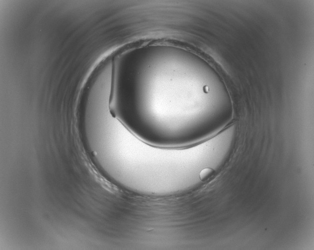 X0000082160832200702021658