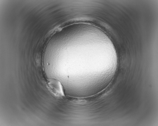 X0000082160833200702021658