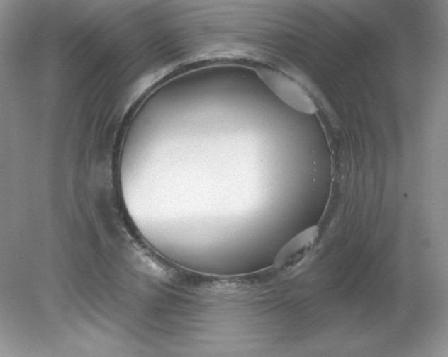 X0000082160834200702021658