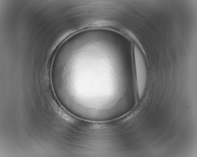 X0000082160835200702021658