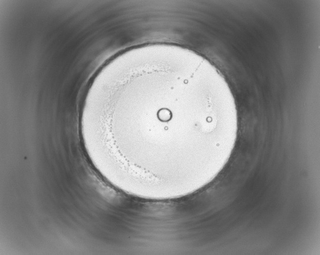 X0000082160836200702021658