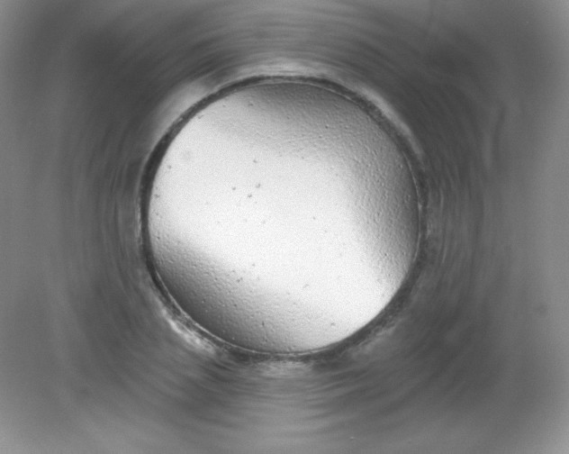 X0000082160837200702021659