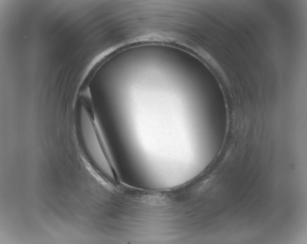 X0000082160838200702021659