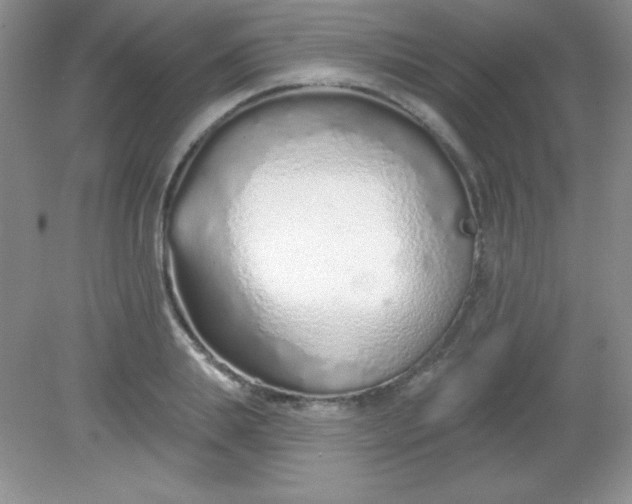 X0000082160839200702021659