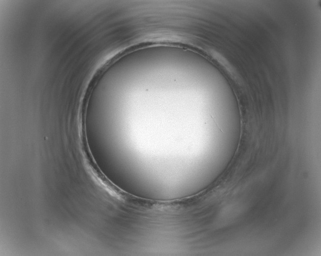 X0000082160840200702021659