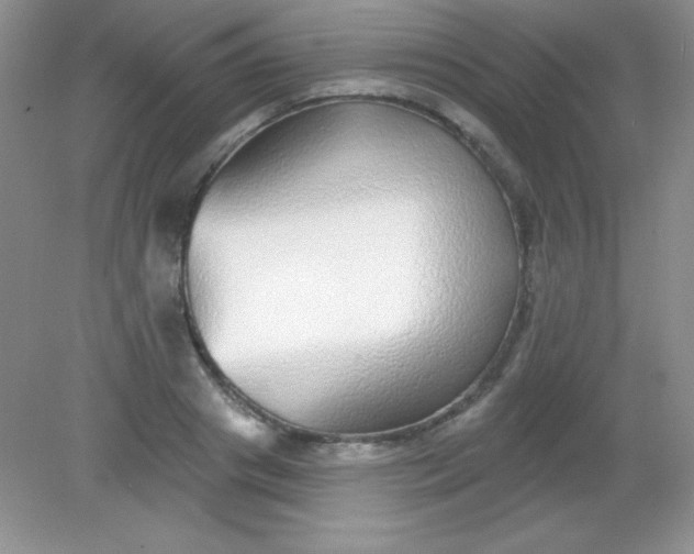 X0000082160841200702021659