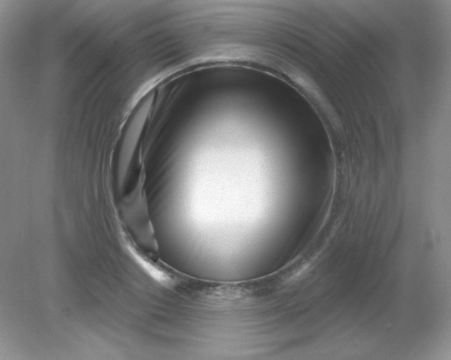 X0000082160842200702021659