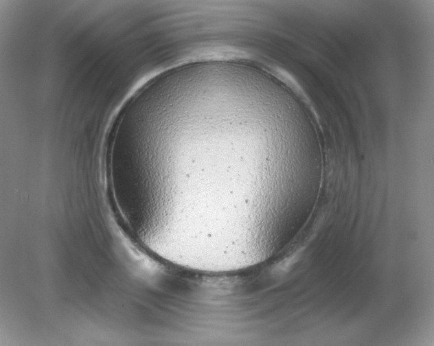 X0000082160843200702021659