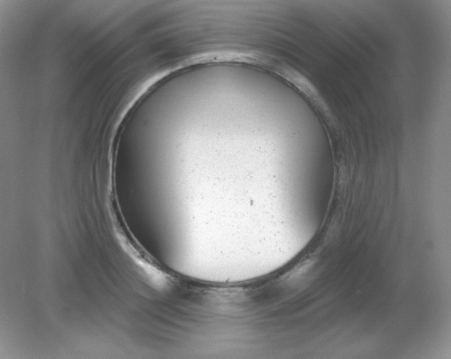 X0000082160844200702021659