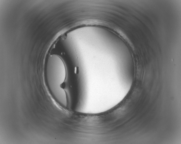 X0000082160845200702021659