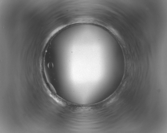 X0000082160846200702021659