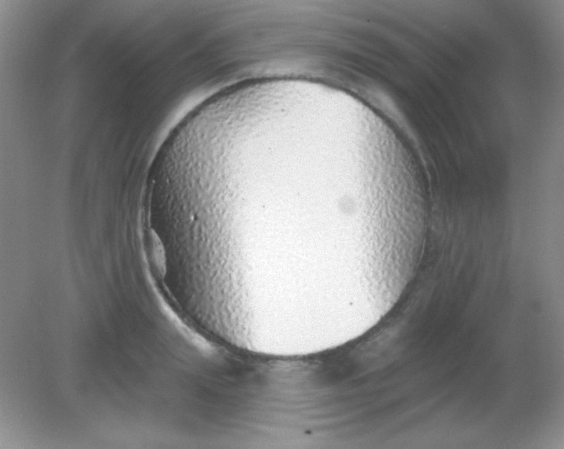 X0000082160847200702021659