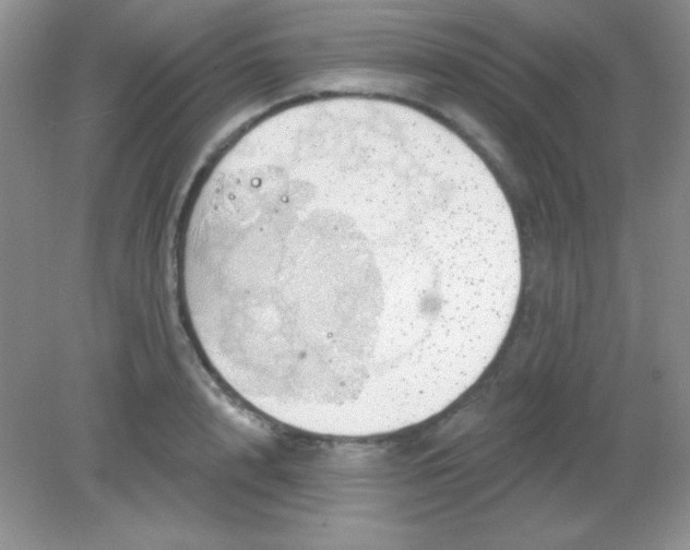 X0000082160848200702021659