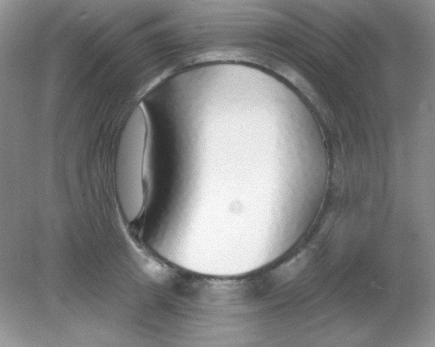 X0000082160849200702021659