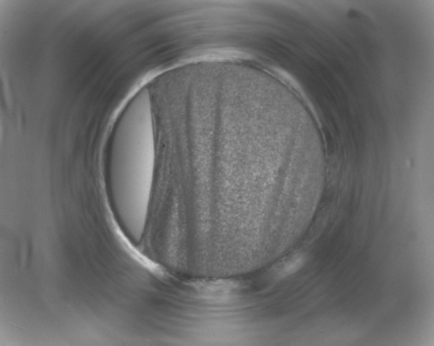 X0000082160851200702021659