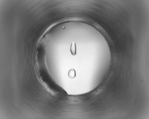 X0000082160852200702021659