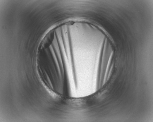 X0000082160853200702021659