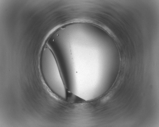 X0000082160854200702021659