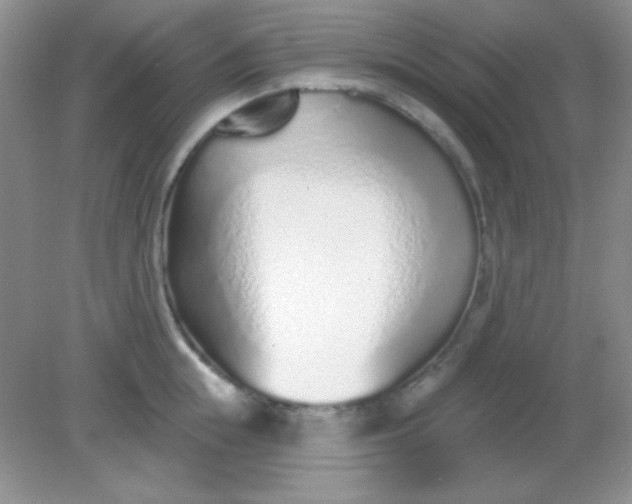 X0000082160855200702021659