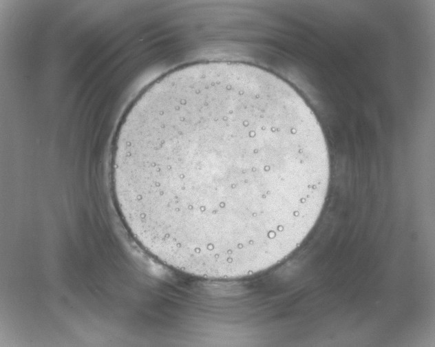 X0000082160856200702021659