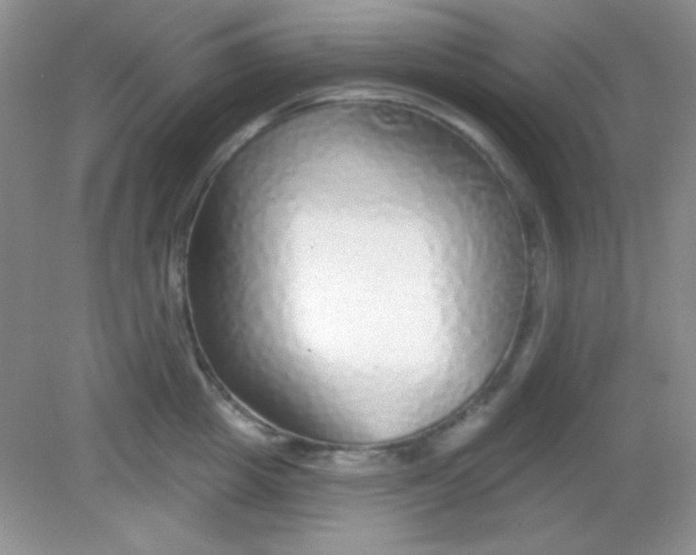 X0000082160857200702021659