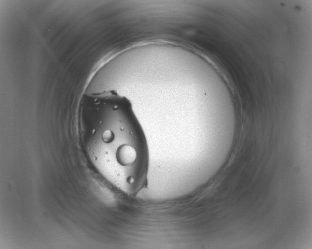 X0000082160858200702021659