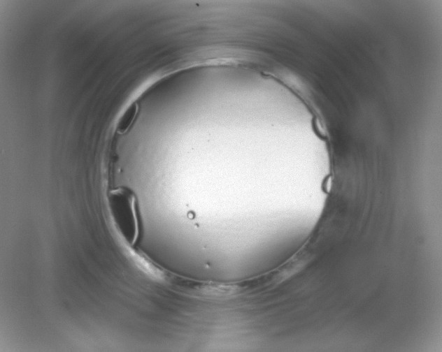 X0000082160859200702021659