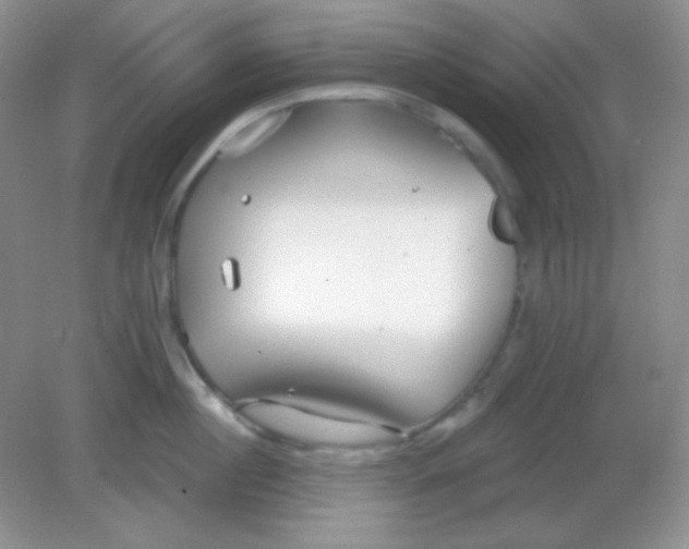 X0000082160860200702021659