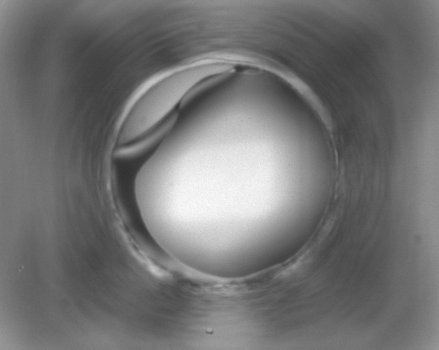 X0000082160862200702021659