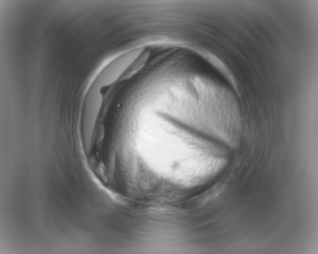 X0000082160863200702021659