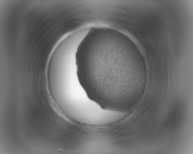 X0000082160864200702021659