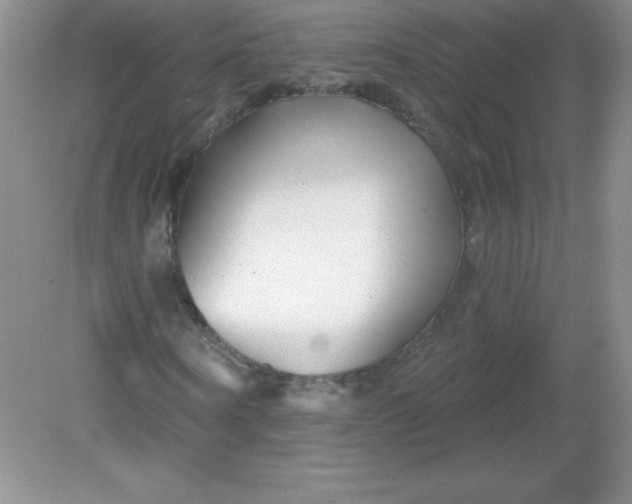 X0000082160866200702021658