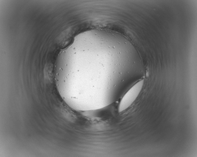 X0000082160867200702021658