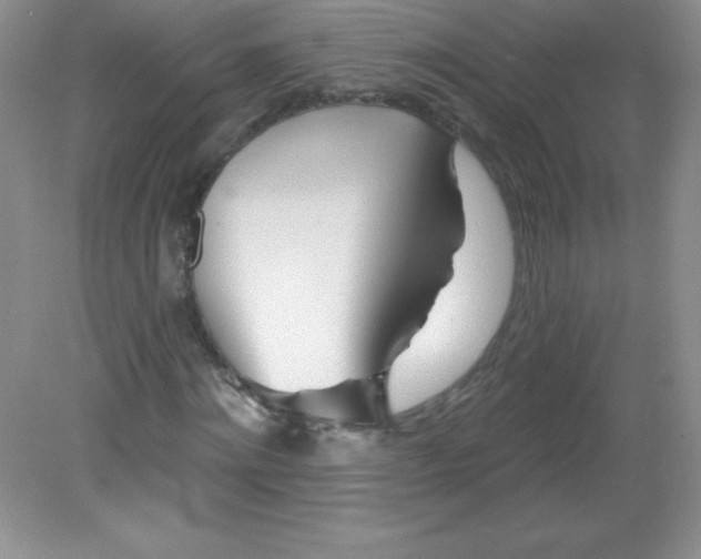 X0000082160868200702021658