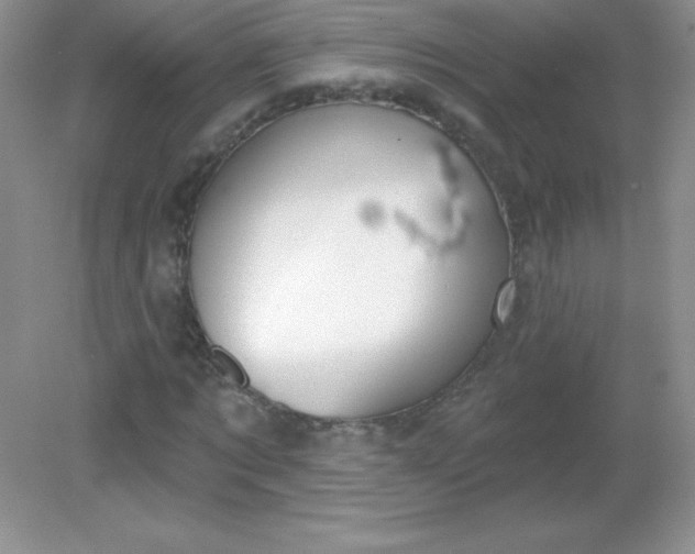 X0000082160869200702021658