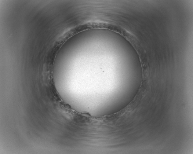 X0000082160870200702021658