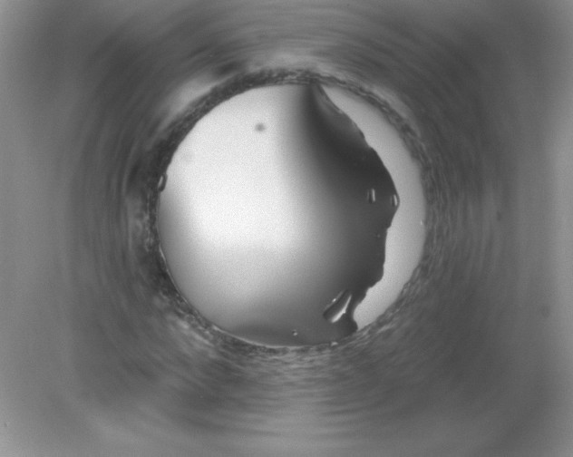 X0000082160872200702021658