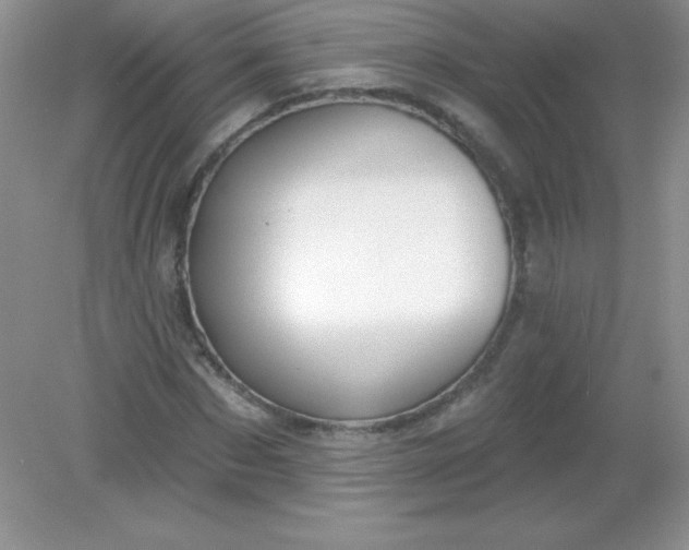 X0000082160873200702021658