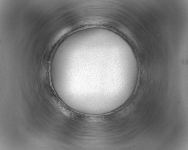 X0000082160874200702021658