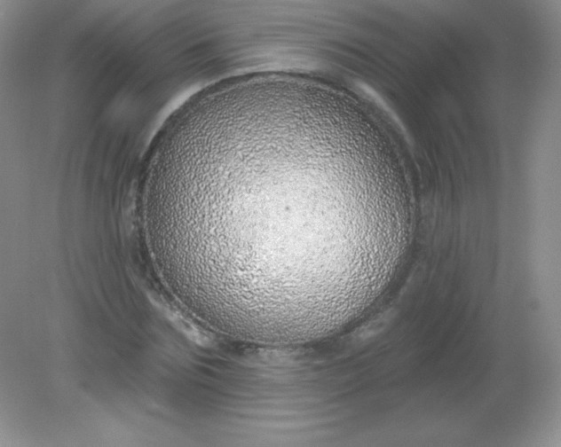 X0000082160875200702021658