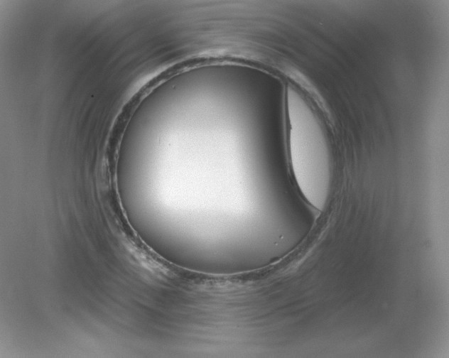 X0000082160876200702021658