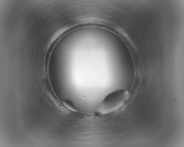 X0000082160877200702021658