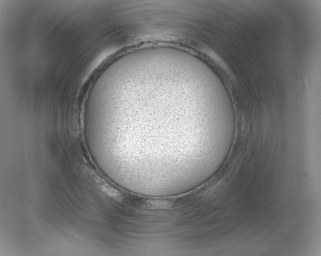 X0000082160878200702021658