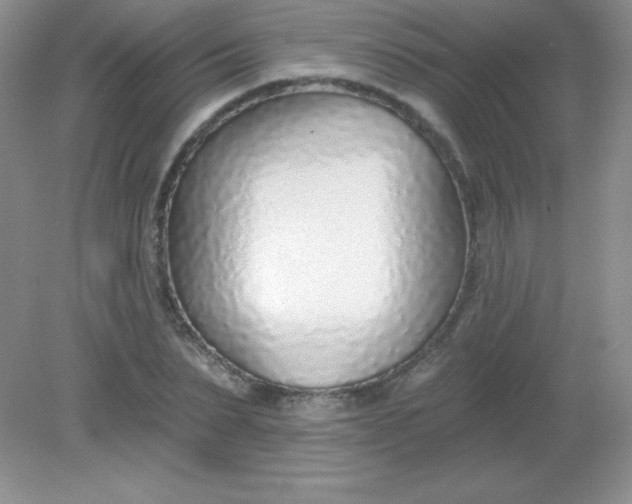 X0000082160879200702021658