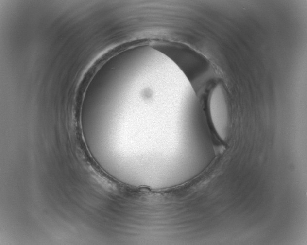 X0000082160880200702021658