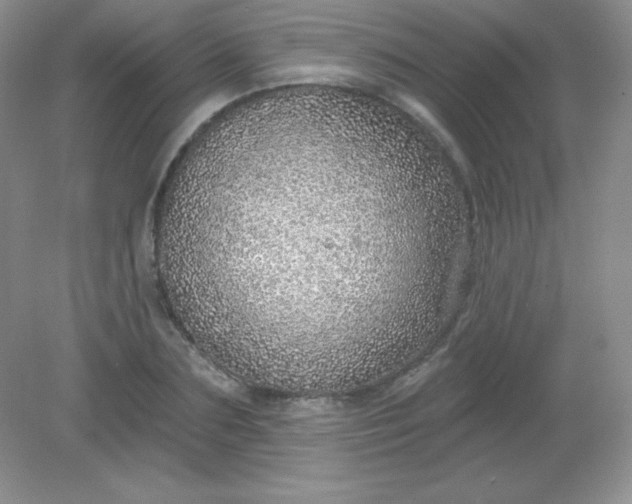 X0000082160883200702021658