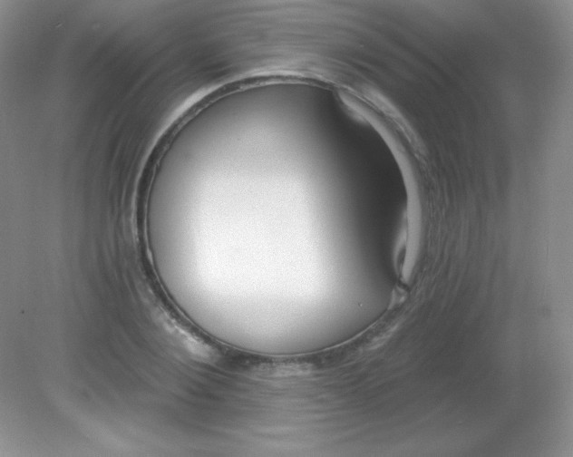 X0000082160884200702021658